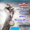 مصطفی کریمی profil fotoğrafı