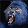 Stevie D's profile picture