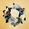 佳子's profile picture