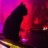 DJ Urinaldo profil fotoğrafı