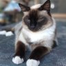 Gen profil fotoğrafı