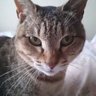 ひめちゃん's profile picture