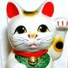 きんねこ's profile picture