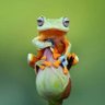 Фото профиля Francisco Pacheco