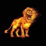 Manya's profile picture