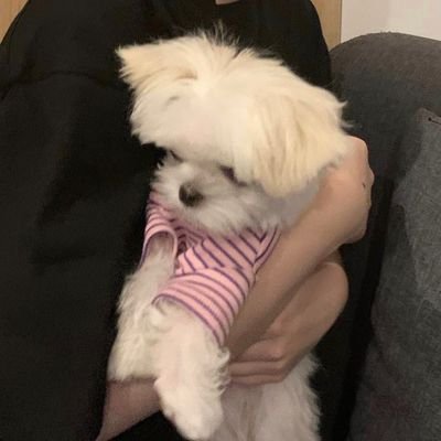 H-H.'s profile picture
