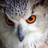 Profilbild von John Sarviss, FRAeS