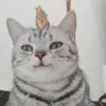 Profilbild von 萨姆林