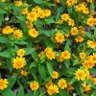 Фото профиля หนุ่มบ้านนอก