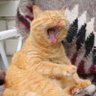 Aaa Bbb's profile picture