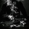 Yaser Ghaley's profile picture