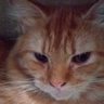 yudsuh's profile picture
