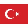 Ayşe özdemir's profile picture