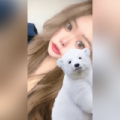 sirokuma's profile picture