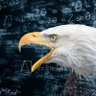 わしすけ🦅同人制作部's profile picture