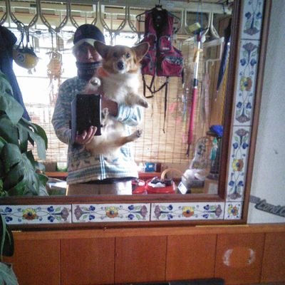 lamp1948's profile picture