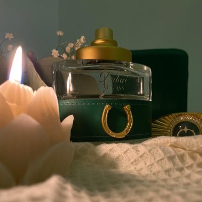 Tofa_5555's profile picture
