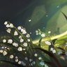 林楷育's profile picture