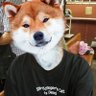 (((Eugenio))) #NAFO's profile picture