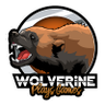 Wolverine Plays Games's profile picture