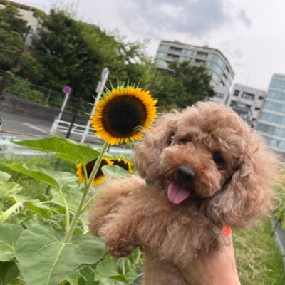 のの's profile picture