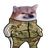 Warchazz 的头像