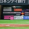 しばいぬ@ヤクルト垢's profile picture