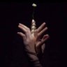 houyam_ UtsuKuShii's profile picture