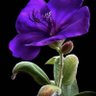 Фото профиля Abd
