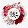 Momand Khan's profile picture