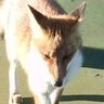 TATSUYA's profile picture