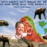 kifrulah TinsaeEri (ቅፍሩላ) 的头像