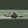 Andrew Shoven (2โ6) (2-2)'s profile picture