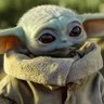 Guilherme's profile picture