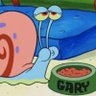 Gary Steel's profile picture