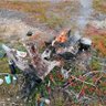 Фото профиля Lapland