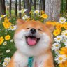 无趣的灵魂 的头像