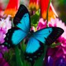 しゃぼん玉🌈 profil fotoğrafı