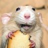 tero_k's profile picture