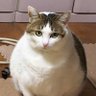 いち profil fotoğrafı