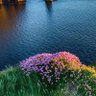 Фото профиля hosennaser