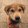 Marley's profile picture