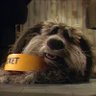 Sprocket 2.0 的头像