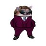 NoNews Fella's profile picture