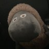 浅田幸義's profile picture