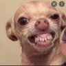 Quemleumamôo's profile picture