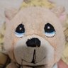 Teddybear 的头像