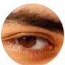 Profilbild von هشام حلمى