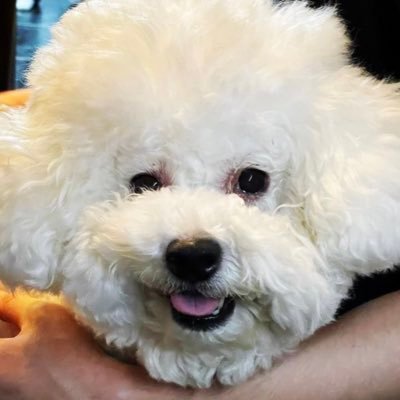 LuckyNo9's profile picture