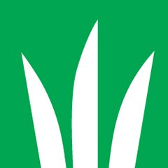 DLF's profile picture